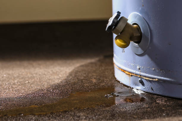 Trusted Shorewood, WI Water damage restoration Experts