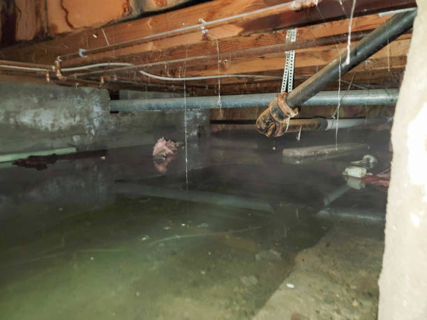 Trusted Shorewood, WI Water damage restoration Experts