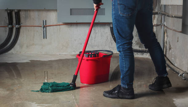 Best Flood restoration services  in Shorewood, WI